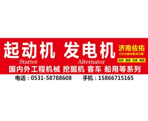 武汉LR250-708ES 发电机03005520420