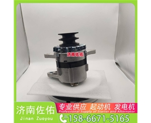 武汉4280005645起动机20409228发电机 斗山 DB/DL WP4.6 锡柴 CA4DF 斗山｜DX215｜DB58 卡特 336D2 C13 玉柴 YCK05 潍柴 WP2.3 启动机