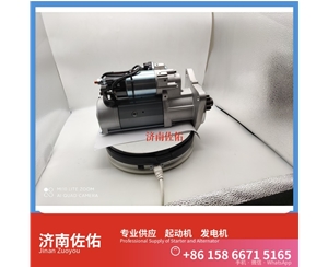 武汉1001916325起动机800141670 发电机 Zoomlion ZLJ5290THBE WP12