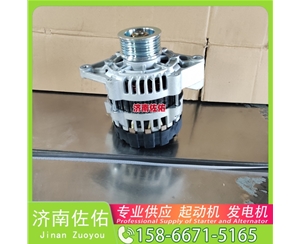 武汉612600090790起动机370100179 Dayun Light 跃进轻卡N系列 4H 发电机